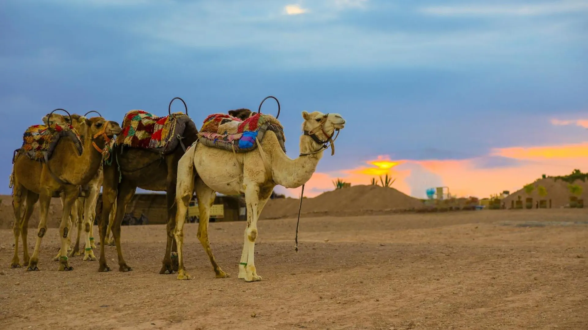 Yes We Camps Luxury Lodge & Spa Marrakesh 0*,